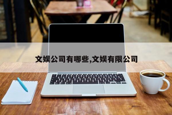 文娱公司有哪些,文娱有限公司