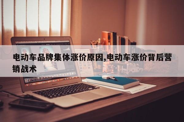 电动车品牌集体涨价原因,电动车涨价背后营销战术