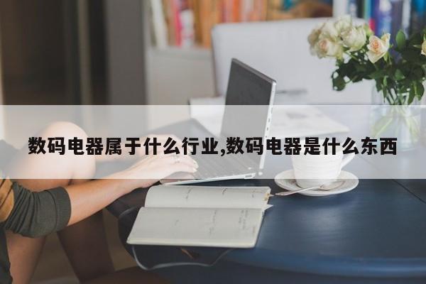 数码电器属于什么行业,数码电器是什么东西