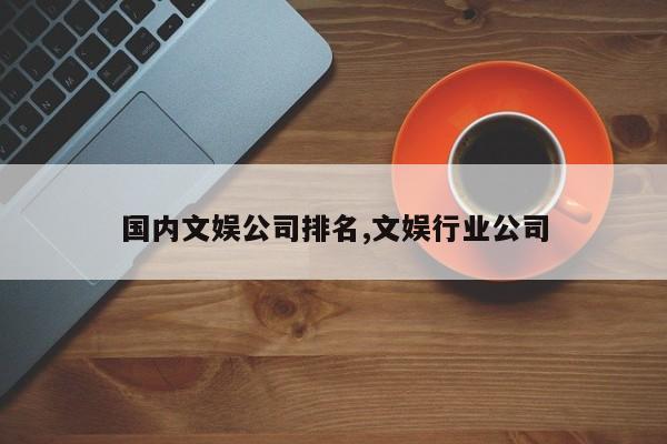 国内文娱公司排名,文娱行业公司