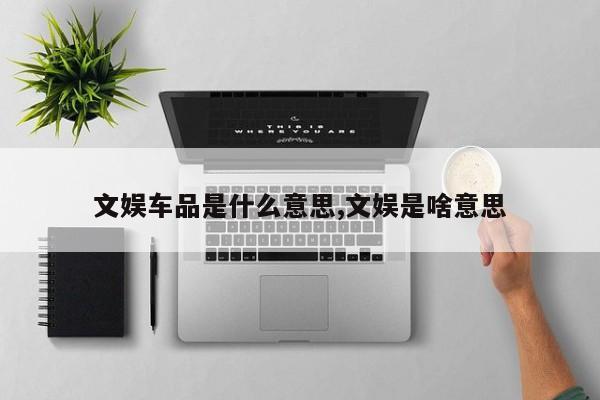 文娱车品是什么意思,文娱是啥意思